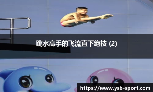 跳水高手的飞流直下绝技 (2)